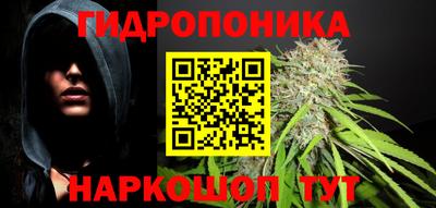 крисы Балаково