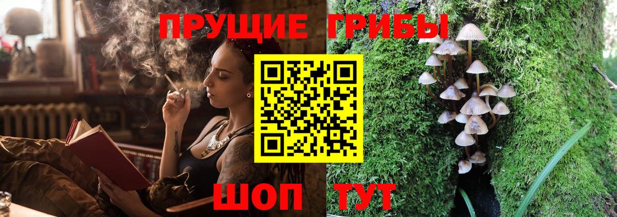 Псилоцибиновые грибы ЛСД  Вход с VPN  Екатеринбург  Галлюциногенные грибы Psilocybe 